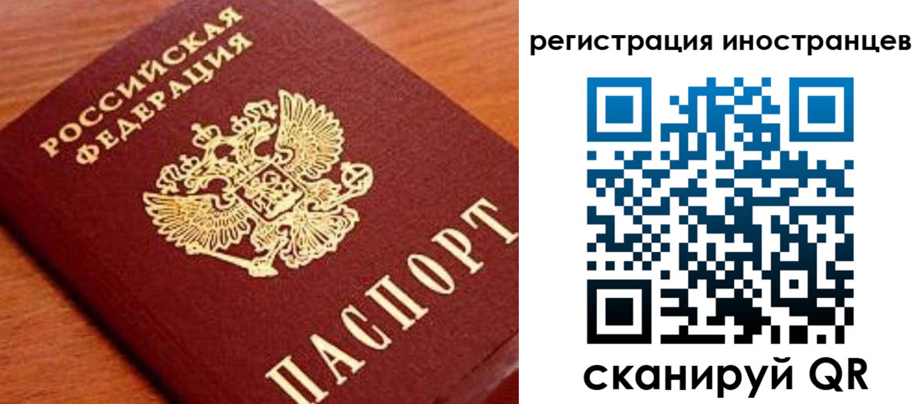 временная регистрация поиск в Белгородской области